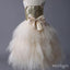 Champagne Spaghetti Strap Tulle Bow Empire Popular Little Flower Girl Dresses, ET32