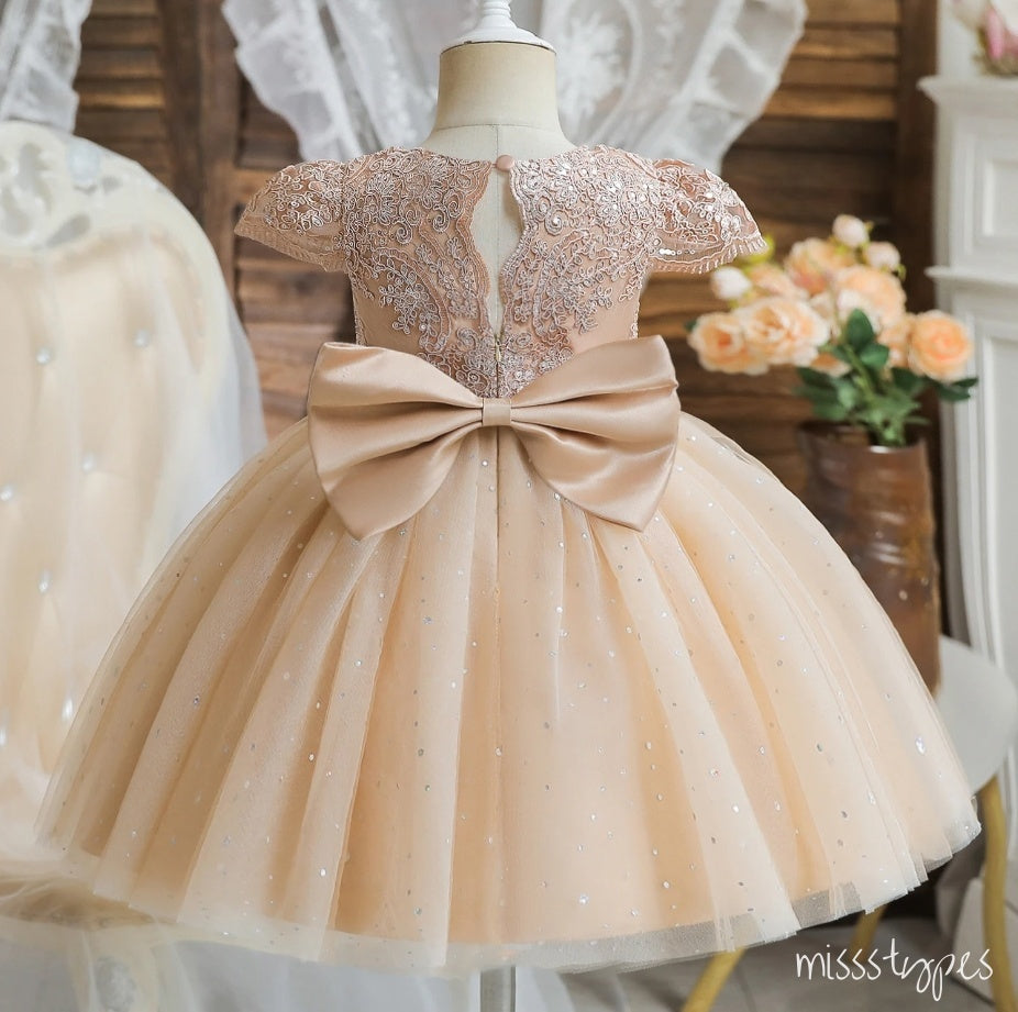 Champagne Appliqued A-Line Tulle Elegant Little Flower Girl Dresses, ET39