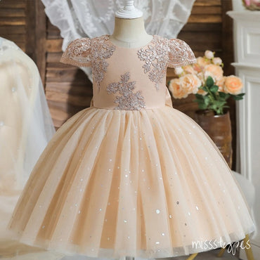 Champagne Appliqued A-Line Tulle Elegant Little Flower Girl Dresses, ET39