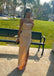 Sexy Champagne Mermaid Maxi Long Prom Dress Ideas, Evening Party Dresses,ZX484